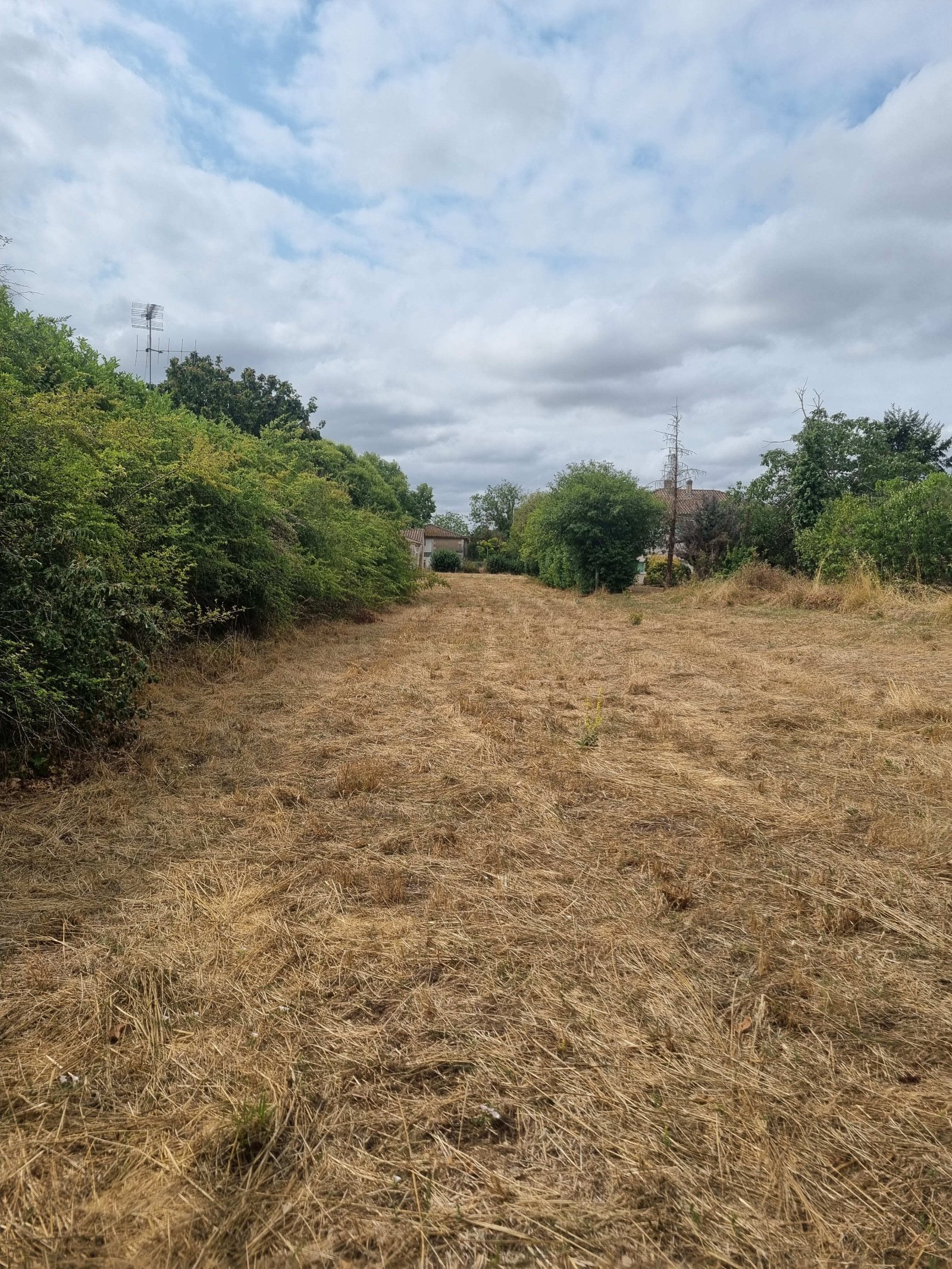 terrain à aménager pour votre futur projet · à La Boixe · 51 900 €